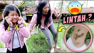 DIGIGIT LINTAH DI SAWAH !! SAKIT BANGET !! Vlog & Drama Lucu | CnX Adventurers