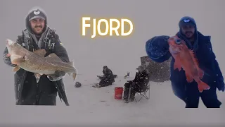 Sébastes et morues au Fjord en tempête