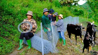 Building a new life Ep 68 | Building a fence to protect the farm with solid iron - Live off-grid