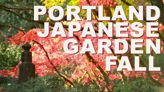 Fall at the Portland Japanese Garden