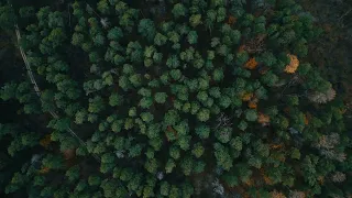 ГРАФСКИЙ ЗАПОВЕДНИК | Красивые места Воронежа