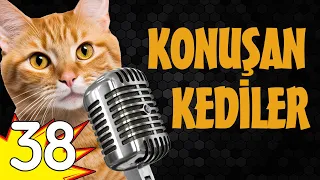 Konuşan Kediler 38 - En Komik Kedi Videoları