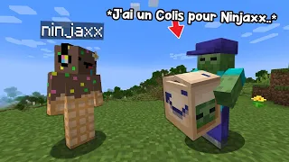 J'ai remplacé les Mobs de Minecraft par des Livreur Amazon..