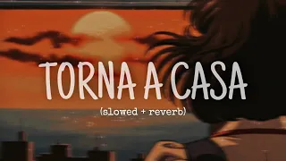 TORNA A CASA- MÅNESKIN (slowed + reverb) (sub ita/eng)