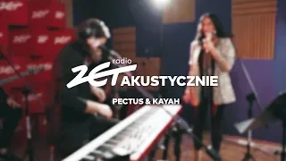 Pectus feat. Kayah - Przejazdem | Róż i Dusz | Jeden Moment | Głowę noś wysoko