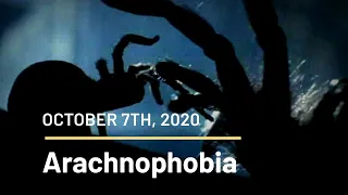 Scripts Gone Wild | Arachnophobia | Save the Lyric & Alabama Theatres