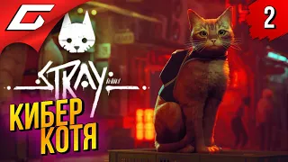 СПАСТИ ЛЮДЕЙ и ПОДРАТЬ КОВЁР ➤ STRAY ◉ Прохождение #2