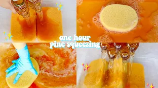 ❤️ ONE HOUR PINE SPONGE SQUEEZING PINE ONLY! ODDLY SATISFYING ❤️ ASMR