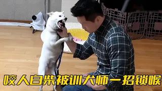 柴犬蹬鼻子上臉撕咬主人，結果被訓犬師一招鎖喉，真是太解氣了