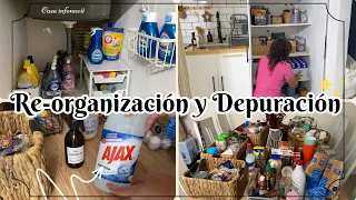 ORGANIZANDO MI DESPENSA 🛒|RE-ORGANIZANDO Y DEPURANDO MI COCINA|💡IDEAS PARA ORGANIZAR|Lau Lara🤍