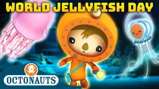 @Octonauts - 🌎 World Jellyfish Day Adventures 🎐 | 40 Mins+ Compilation