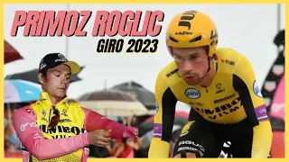 ROGLIC - The silent sniper. Giro d'Italia 2023.