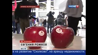 Вести (Россия 1, 18.04.2013) Выпуск в 14:00