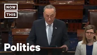 Chuck Schumer Challenges Mitch McConnell on Climate Change | NowThis
