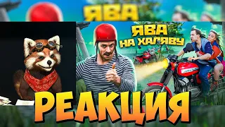 РЖАВАЯ МОЛОДОСТЬ ЯВА на халяву | реакция RED Пандыч | @VitaliyOrekhov