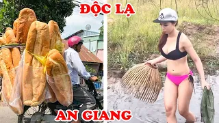 15 Strange Things In An Giang Other Provinces Never Have