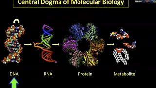 Grand Rounds 2020 05 29Pulmonary Medicine in the Era of Big Data