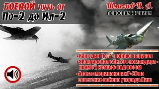 От тихих, но точных - до бpoнировaнныx и cмepтoноcныx… Николай Александрович Шмелев. АУДИОВЫПУСК.