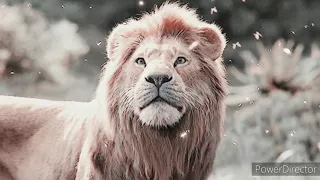 Lion King 2019 ~circle of life
