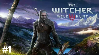 The Witcher 3 Wild Hunt - Прохождение - А ВОТ И ОН - #1 Next Gen