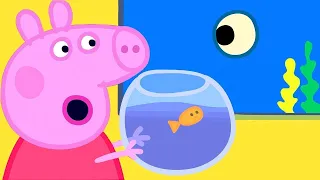 Peppa Pig English Episodes | Peppa Pig Aquarium Special