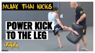 Muay Thai Power Kick to the Leg & Counter Drill with Kaensak Sor Ploenchit and Chris Aboy