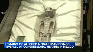 Alleged 'non-human remains' presented to Mexican government