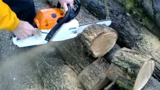 Stihl MS 241 CM