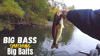 Catching Big Bass with Big Baits