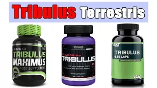Tribulus Terrestris which one is better and how to choose