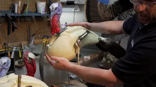 Shane Smith's instructional guide on the basics of turkey taxidermy.