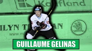 Guillaume Gelinas New Signing for the Belfast Giants [2018/19 Season]