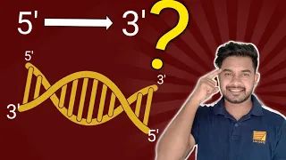 Why Dna strand synthesized from 5prime to 3prime | leading and lagging strands |