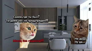 Сезон 1 POV:Коржик пошел на Др🎁🎉🥳🎊🎁