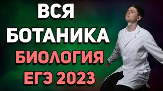 Вся ботаника за 1 час ЕГЭ по биологии 2023