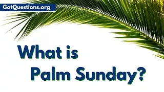 What is Palm Sunday | Holy Week / Passion Week | GotQuestions.org