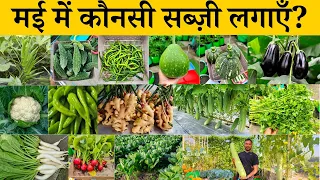 May 2024 me konsi sabji lagaye | May Me Lagane Wali Sabji | May ki kheti | Vegetable to grow in may