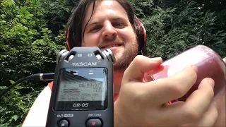 ASMR Tascam DR-05 Tingles To Give You Creativity & Concentration