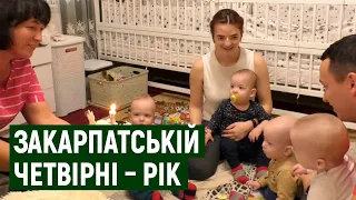 Четвірні на Закарпатті виповнився рік. Як проходить день у їхній родині