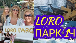 Лоро парк.Тенерифе. Канарские острова 2019.Пингвинарий.Шоу касаток.Зоопарк на Тенерифе.1 серия.Влог