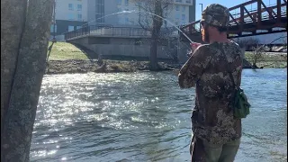 Pigeon Forge Tennessee trout on fire !!