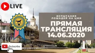 14.06.2020. Прямая трансляция с ЦМИ. Продолжение летних призов. 🏆