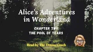 Alice’s Adventures in Wonderland - Chapter 2