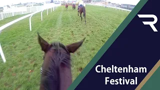 "GO ON FRODON!" Ride the 2021 Cheltenham Gold Cup with Frodon and Bryony Frost. INCREDIBLE footage!