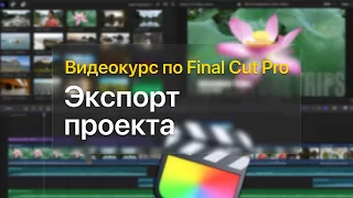 📤 Экспорт проекта — курс уроков по Final Cut Pro