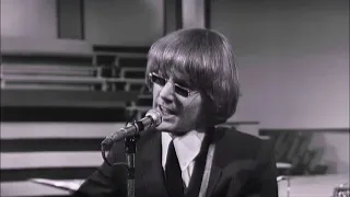 NEW * Mr. Tambourine Man - The Byrds {Stereo}