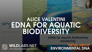 Alice Valentini: eDNA for Aquatic Biodiversity