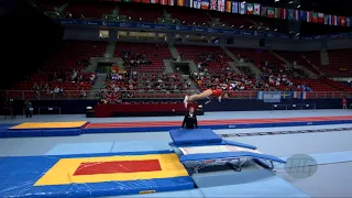 GRIEVE Danielle (CAN) - 2017 Trampoline Worlds, Sofia (BUL) - Qualification Double Mini Routine 2