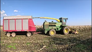 Chopping and picking corn