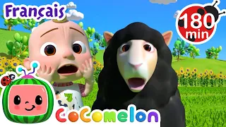 Bêê bêê mouton noir | Chansons pour Bébés | CoComelon Le coin des Animaux de JJ - Comptines